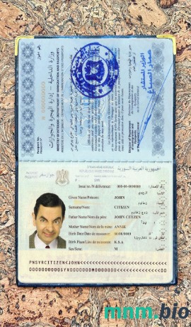 Syria zdjęcie do paszportu pliki PSD, skan i fotografowany obraz